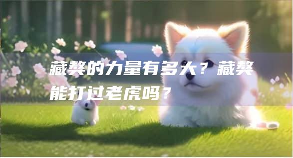 藏獒的力量有多大？藏獒能打过老虎吗？
