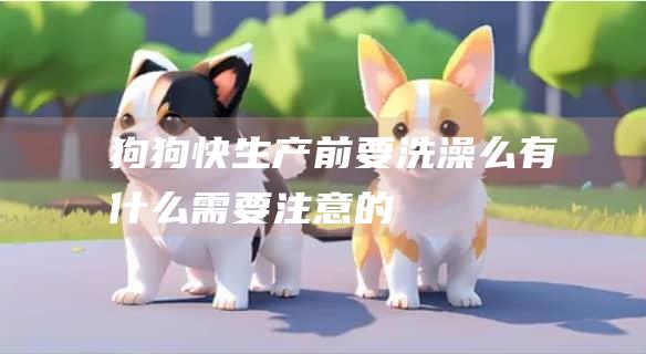 狗狗快生产前要洗澡么有什么需要注意的