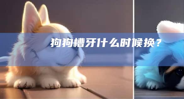 狗狗槽牙什么时候换？