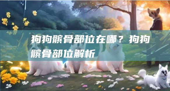 狗狗髌骨部位在哪？狗狗髌骨部位解析