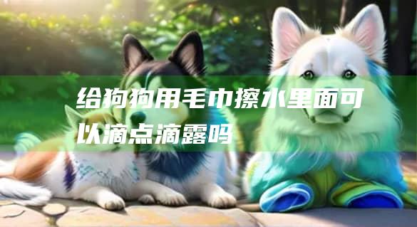 给狗狗用毛巾擦水里面可以滴点滴露吗