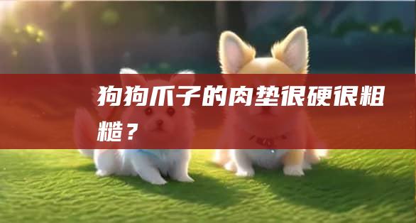 狗狗爪子的肉垫很硬很粗糙？