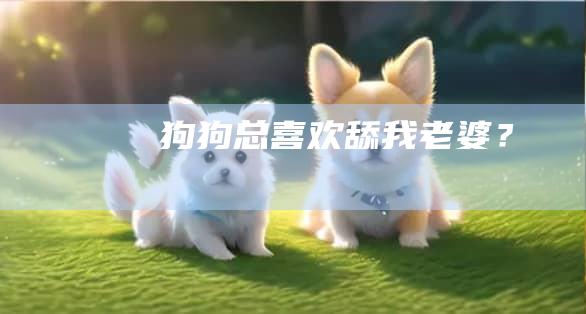 狗狗总喜欢舔我老婆？