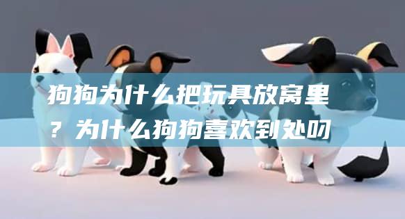 狗狗为什么把玩具放窝里？为什么狗狗喜欢到处叼