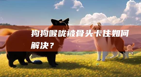 狗狗喉咙被骨头卡住如何解决？