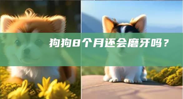 狗狗8个月还会磨牙吗？