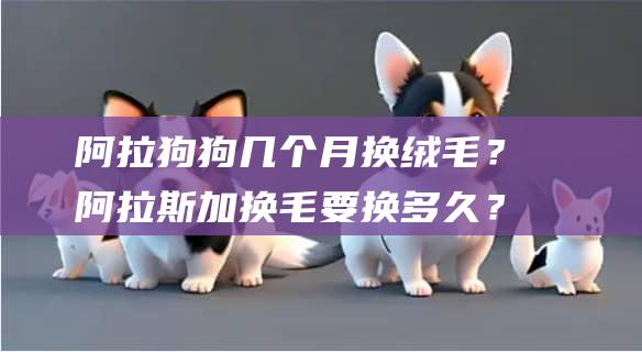 阿拉狗狗几个月换绒毛？阿拉斯加换毛要换多久？