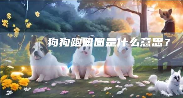 狗狗跑圈圈是什么意思?