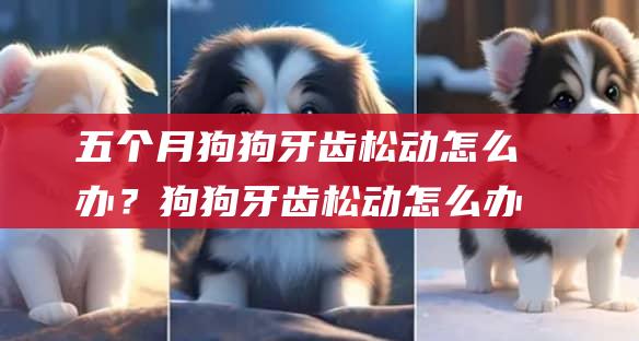 五个月狗狗牙齿松动怎么办？狗狗牙齿松动怎么办
