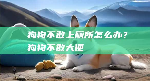 狗狗不敢上厕所怎么办？狗狗不敢大便