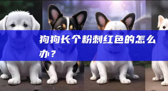 狗狗长个粉刺红色的怎么办？