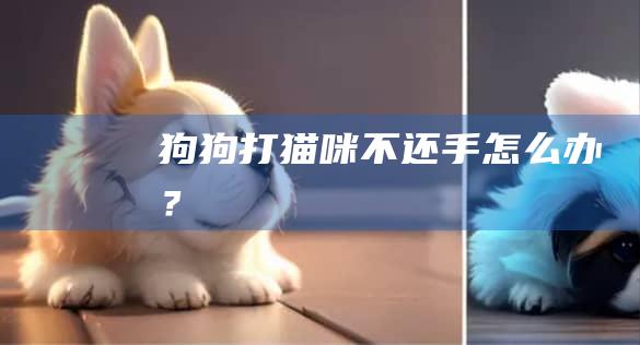 狗狗打猫咪不还手怎么办？