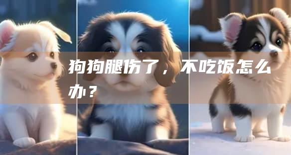 狗狗腿伤了，不吃饭怎么办？