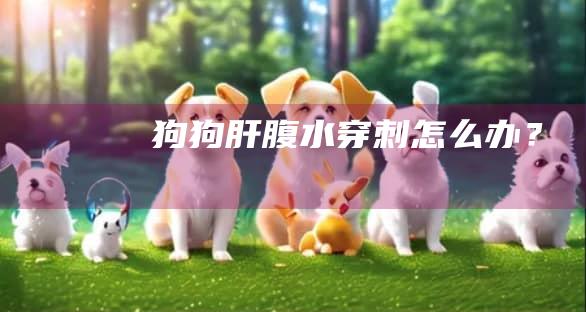 狗狗肝腹水穿刺怎么办？