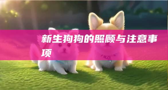 新生狗狗的照顾与注意事项