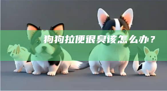狗狗拉便很臭该怎么办?