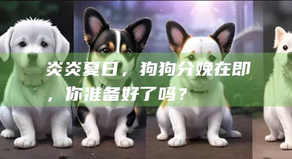 炎炎夏日,狗狗分娩在即,你准备好了吗?