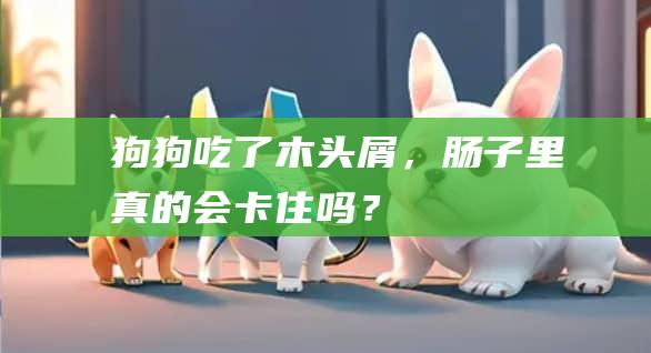 狗狗吃了木头屑,肠子里真的会卡住吗?