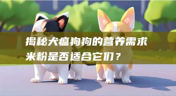 揭秘犬瘟狗狗的需求米粉是否适合它们?