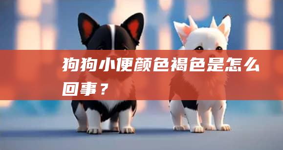 狗狗小便颜色褐色是怎么回事?