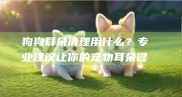 狗狗耳朵清理用什么？专业建议让你的宠物耳朵健