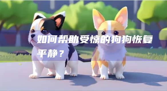 如何帮助受惊的狗狗恢复平静?