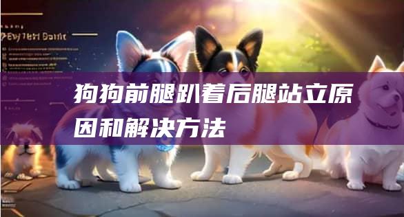 狗狗前腿趴着后腿站立原因和解决方法