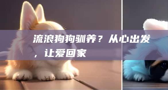 流浪狗狗驯养?从心出发,让爱回家
