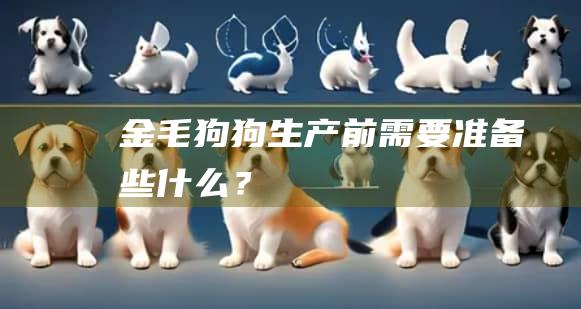 金毛狗狗生产前需要准备些什么?