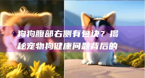狗狗腹部右侧有包块？揭秘宠物狗健康问题背后的