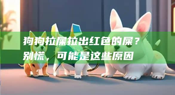 狗狗拉屎拉出红色的屎？别慌，可能是这些原因
