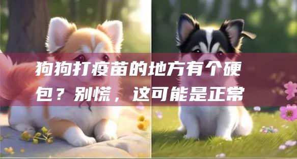 狗狗打疫苗的地方有个硬包？别慌，这可能是正常
