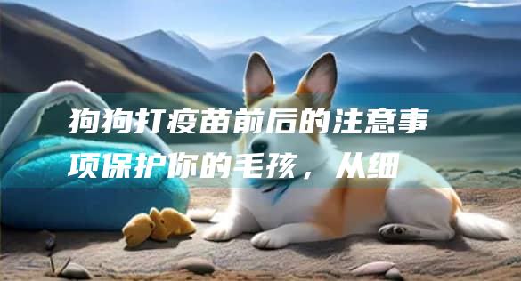 狗狗打疫苗前后的注意事项保护你的毛孩,从细