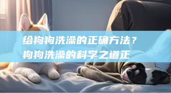 给狗狗洗澡的正确方法?狗狗洗澡的科学之道正