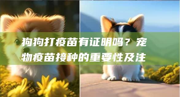 狗狗打疫苗有证明吗？宠物疫苗接种的重要性及注