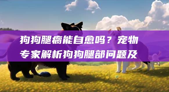 狗狗腿瘸能自愈吗?宠物专家解析狗狗腿部问题及