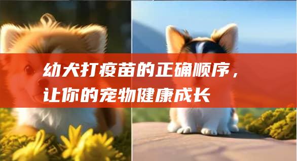 幼犬打疫苗的正确顺序，让你的宠物健康成长