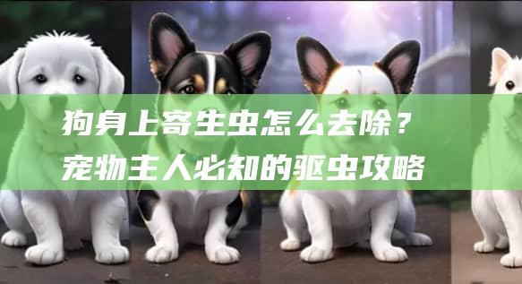 狗身上寄生虫怎么去除?宠物主人必知的驱虫攻略