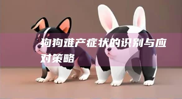狗狗难产症状的识别与应对策略