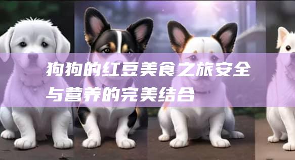 狗狗的红豆美食之旅安全与的完美结合