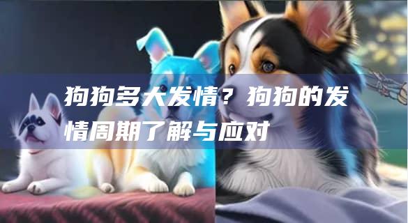狗狗多大发情?狗狗的发情周期了解与应对