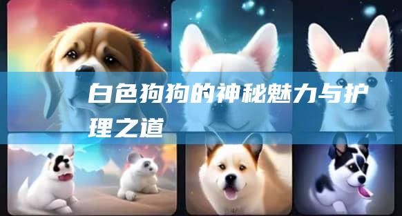 白色狗狗的神秘魅力与护理之道