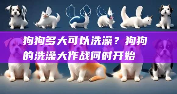 狗狗多大可以洗澡？狗狗的洗澡大作战何时开始
