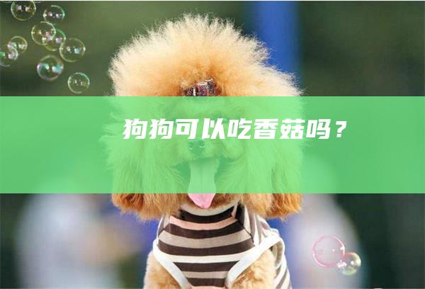 狗狗可以吃香菇吗？