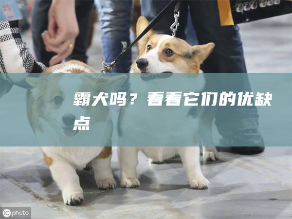霸犬吗？看看它们的优缺点