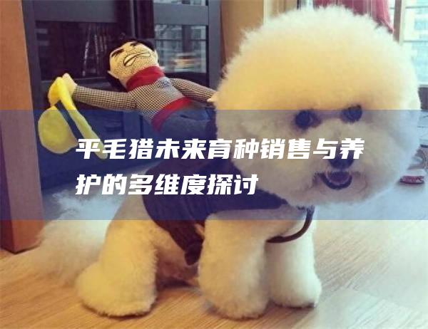平毛猎未来育种销售与养护的多维度探讨