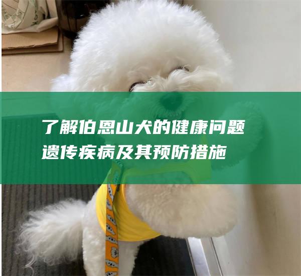 了解伯恩山犬的健康问题遗传疾病及其预防措施