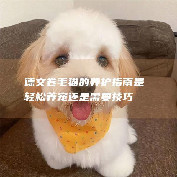 德文卷毛猫的养护指南是轻松养宠还是需要技巧