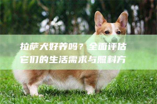 拉萨犬好养吗？全面评估它们的生活需求与照料方