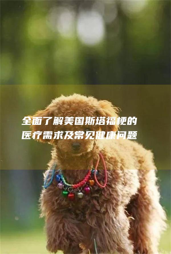 全面了解美国斯塔福梗的医疗需求及常见健康问题
